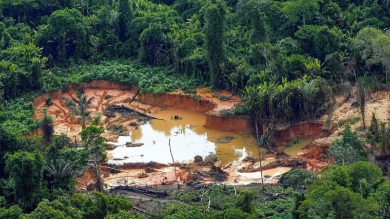 Denúncia contra chefe de garimpo ilegal de diamantes em terras indígenas de Rondônia