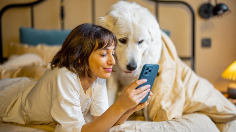 O Impacto do Uso Excessivo de Dispositivos Eletrônicos no Relacionamento com Pets