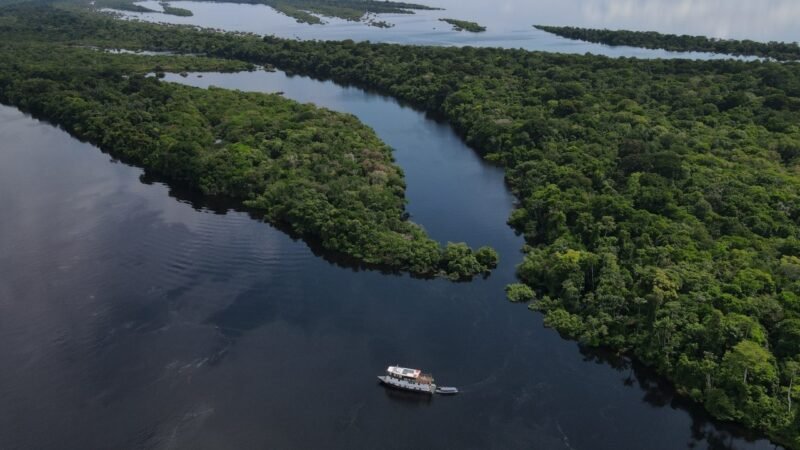 Explorando Anavilhanas: O Arquipélago Amazônico que se Transforma a Cada Estação