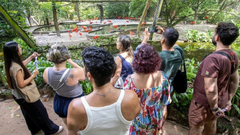 Parque Zoobotânico do Museu Goeldi Comemora 131 Anos com Trilhas Gratuitas em Belém