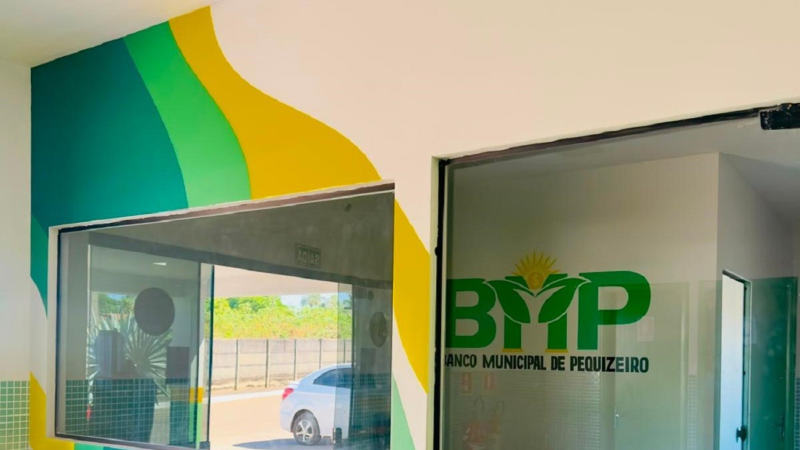 Moeda Social Pequi: Entenda o Funcionamento da Nova Iniciativa em Pequizeiro