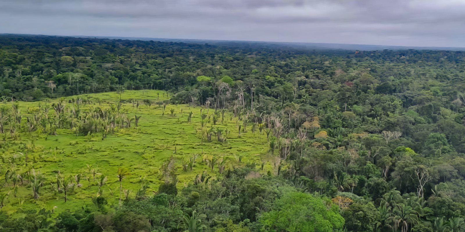 Desmatamento Zero em 60% das Terras Indígenas da Amazônia, Revela Imazon