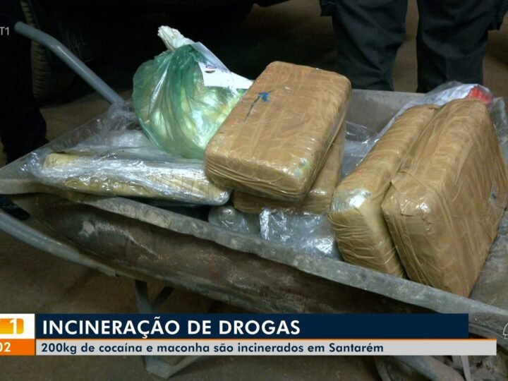 Polícia Civil do Pará Destrói Mais de 200 kg de Drogas em Ação no Oeste do Estado