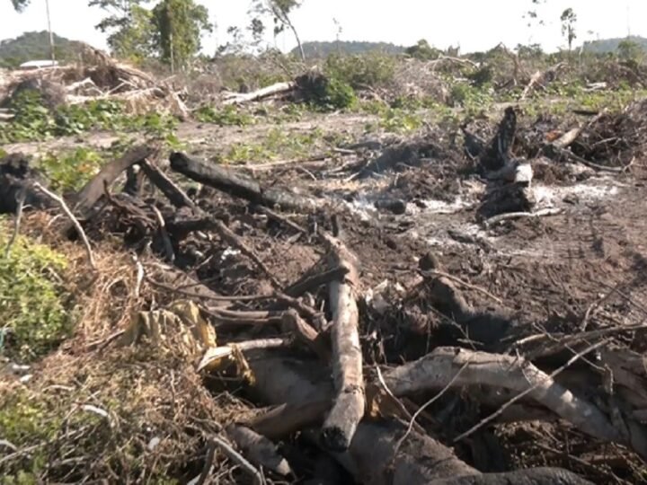 Moradores do Bairro Maicá Exigem Ação Contra Queimadas e Desmatamento em Santarém
