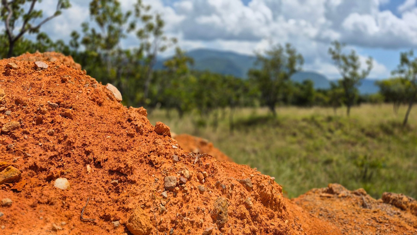 Explorando as Terras Raras de Roraima: Potencial Geológico e Inovações Tecnológicas