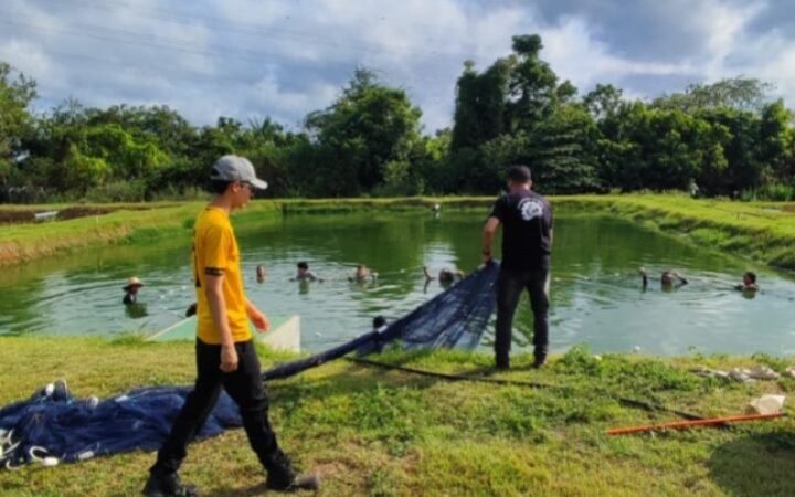 Últimos Dias para Inscrição no Curso Técnico em Aquicultura do IFPA em Santarém
