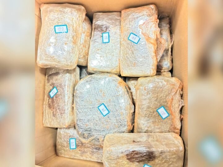 Polícia Militar apreende 47 tabletes de skank e prende suspeito em Rurópolis, PA