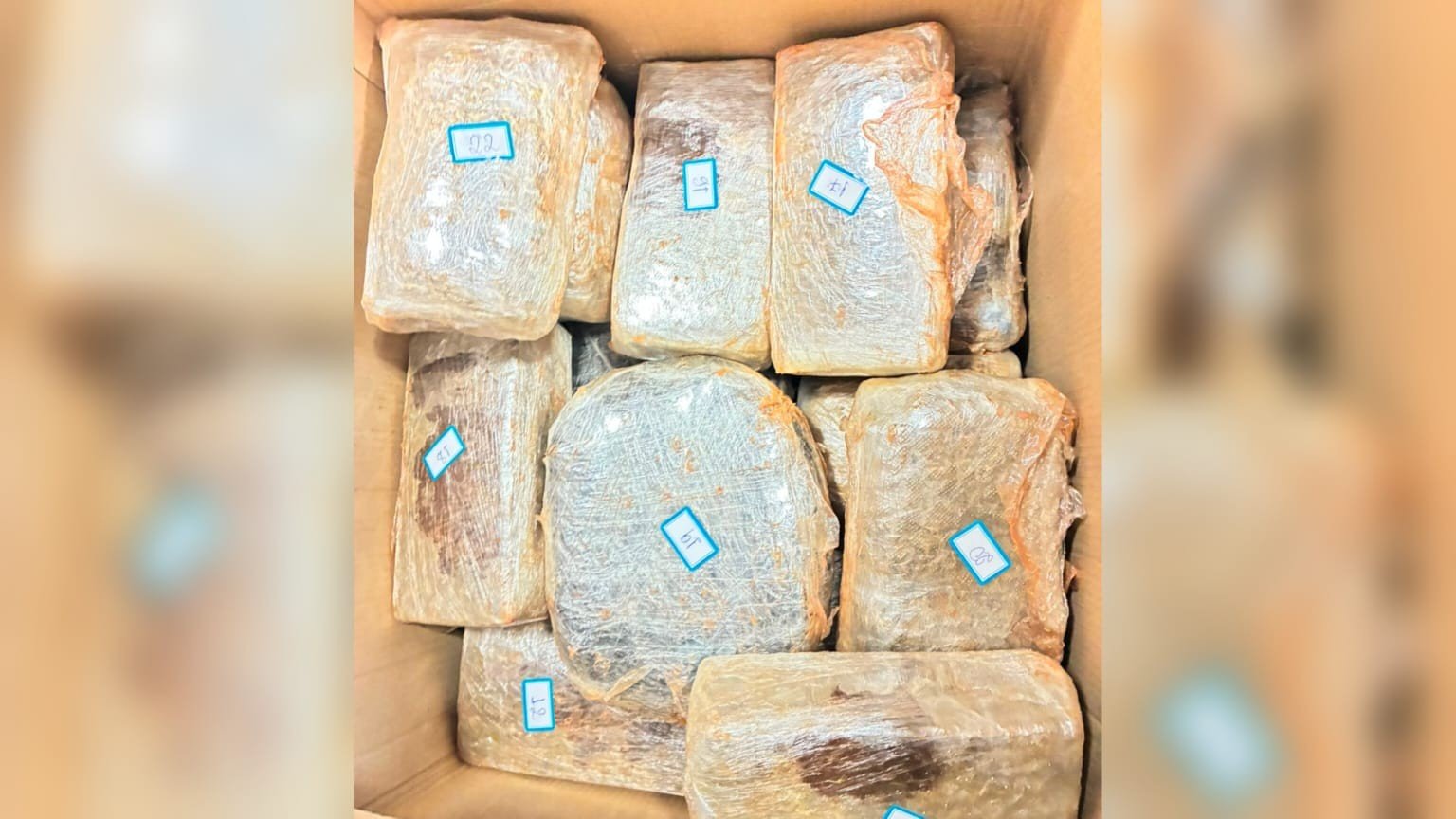 Polícia Militar apreende 47 tabletes de skank e prende suspeito em Rurópolis, PA