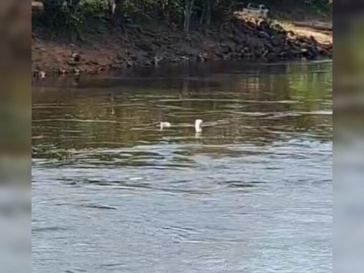 Localização de Micro-Ônibus Submerso no Rio Curuá-Una em Santarém