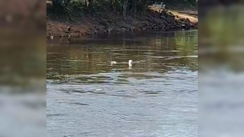 Localização de Micro-Ônibus Submerso no Rio Curuá-Una em Santarém