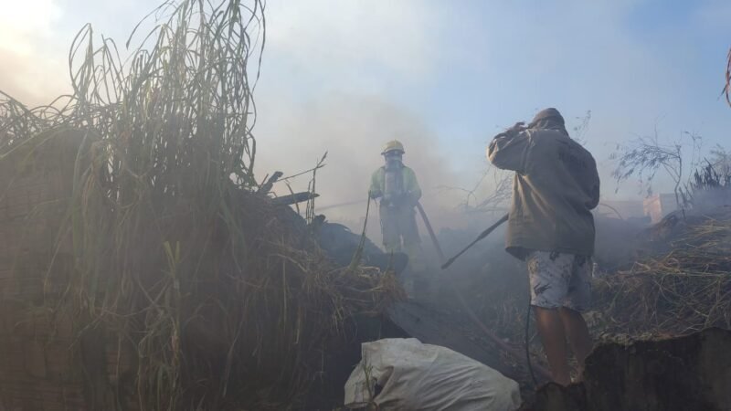 Incêndio Devasta Vegetação no Conjunto Ouro Verde em Manaus