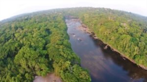 Buscas Intensificadas por Quatro Pessoas Desaparecidas na Floresta do Amapá