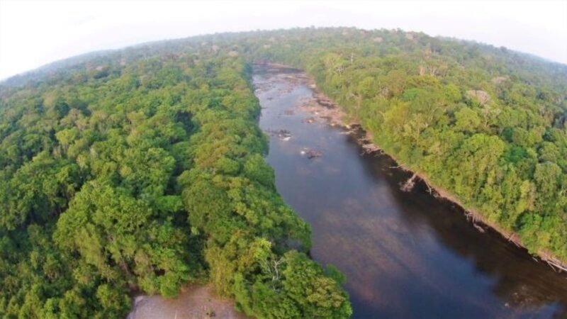Buscas Intensificadas por Quatro Pessoas Desaparecidas na Floresta do Amapá