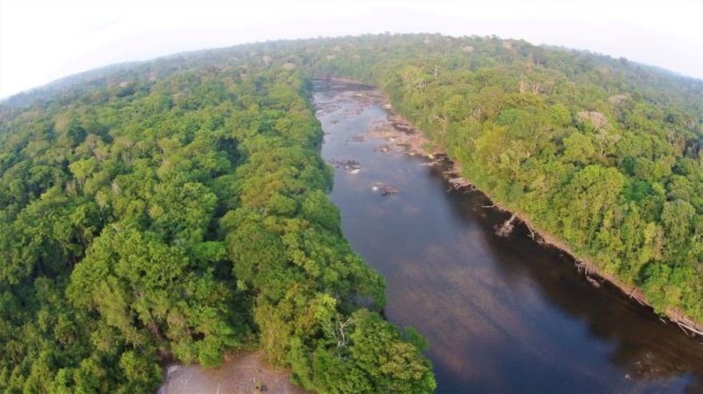 Buscas Intensificadas por Quatro Pessoas Desaparecidas na Floresta do Amapá