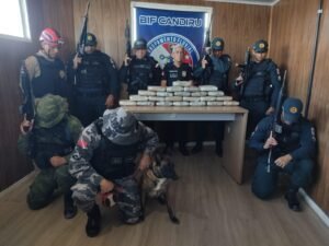 Apreensão de 27 kg de Skunk em Ferry Boat no Pará: Suspeito Foge para o Rio
