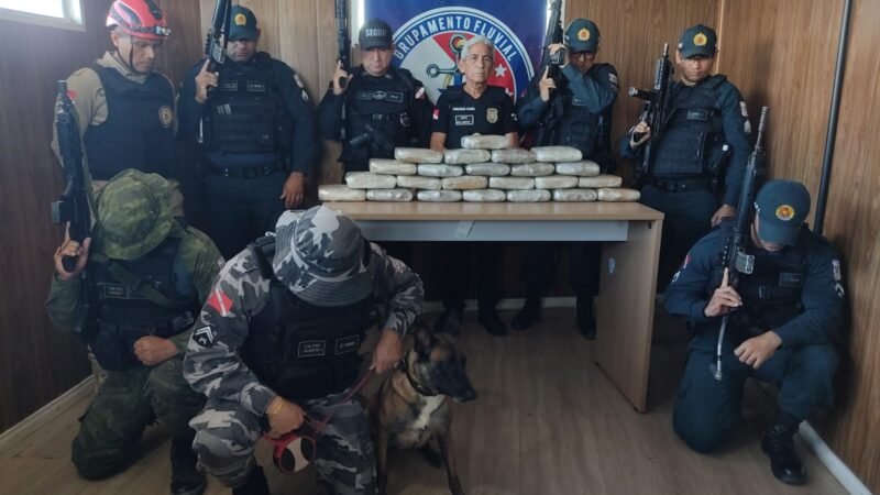 Apreensão de 27 kg de Skunk em Ferry Boat no Pará: Suspeito Foge para o Rio