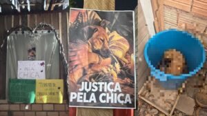 Cadela é Encontrada Morta em Santarém: Caso Suspeito de Intolerância Religiosa