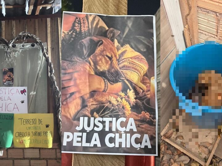 Cadela é Encontrada Morta em Santarém: Caso Suspeito de Intolerância Religiosa