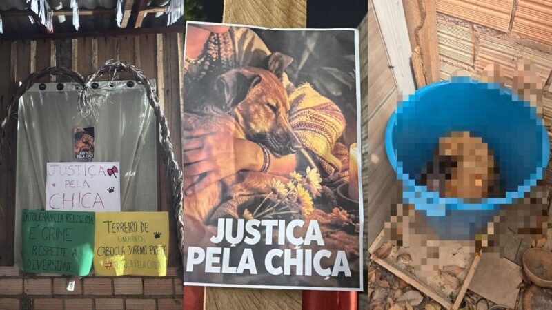 Cadela é Encontrada Morta em Santarém: Caso Suspeito de Intolerância Religiosa