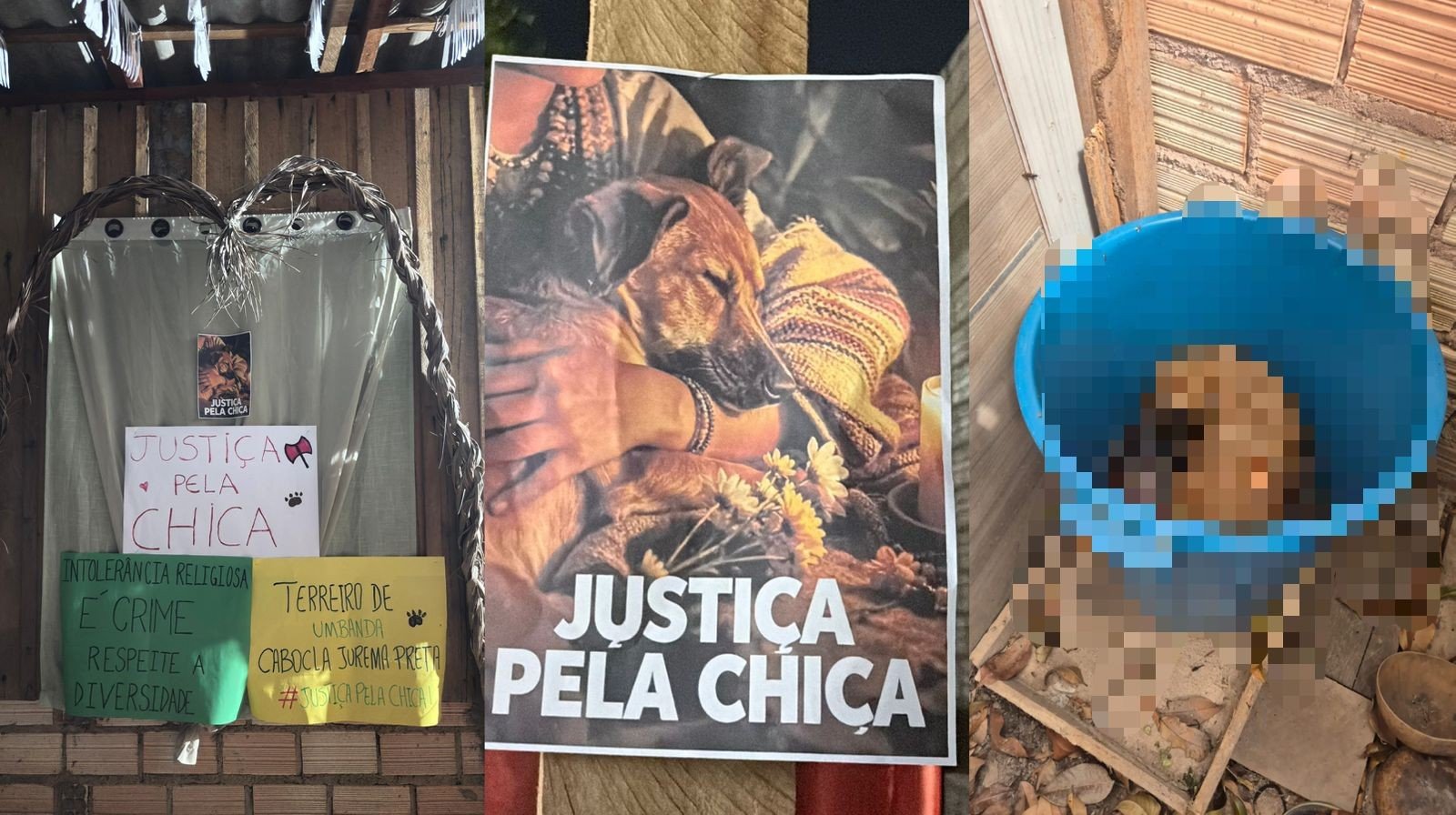 Cadela é Encontrada Morta em Santarém: Caso Suspeito de Intolerância Religiosa