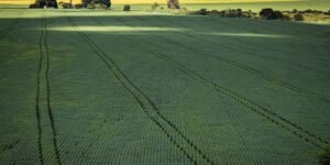 CMN Amplia Opções de Renegociação de Dívidas para Produtores Rurais Afetados por Eventos Climáticos