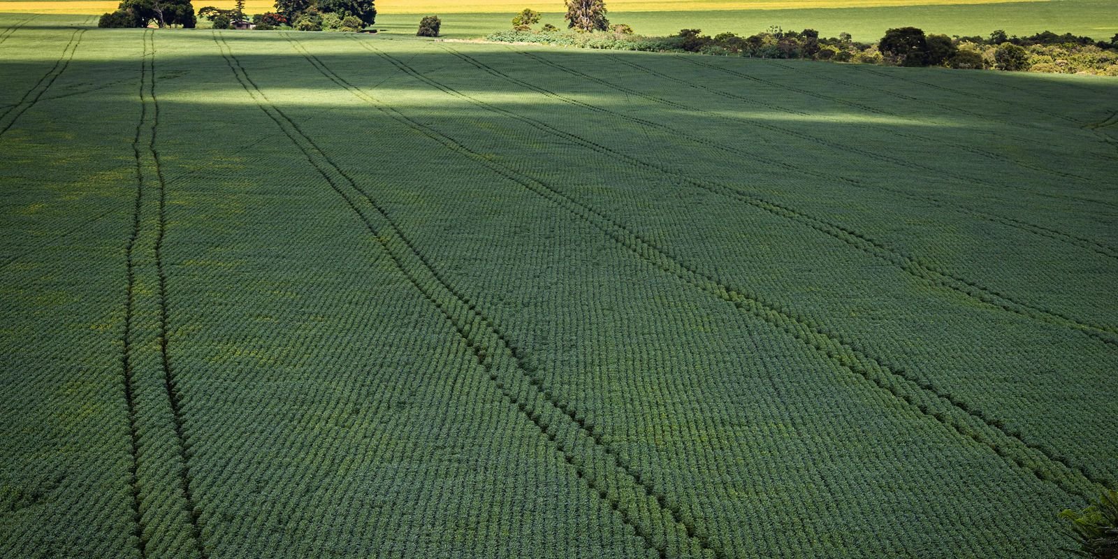 CMN Amplia Opções de Renegociação de Dívidas para Produtores Rurais Afetados por Eventos Climáticos