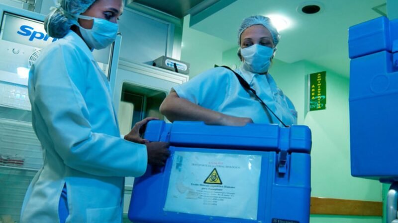 Desafios e Avanços na Doação de Órgãos: Taxa de Recusa Familiar em 45%