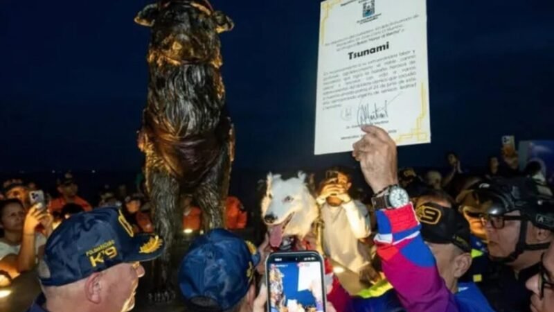 Cão Tsunami Recebe Homenagem com Estátua em Maracaibo Após Heroísmo em Terremoto