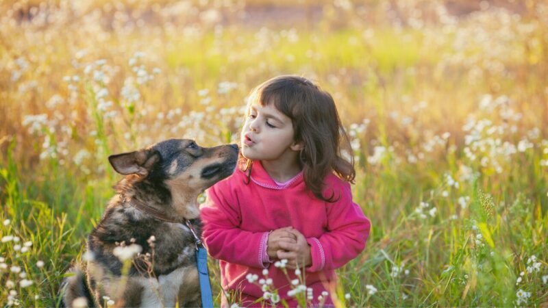Cuidados Essenciais com Pets e Crianças na Primavera: Dicas para um Jardim Seguro