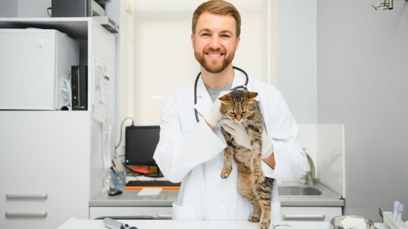 A Importância do Microbioma na Saúde dos Animais de Estimação