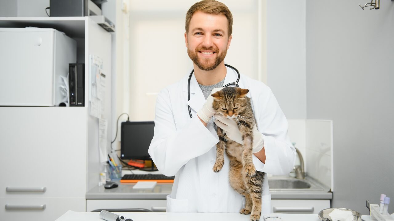 A Importância do Microbioma na Saúde dos Animais de Estimação