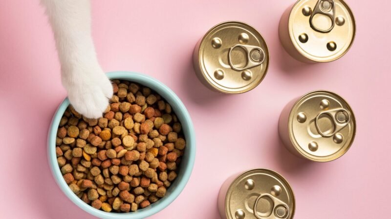 Transformações no Mercado de Nutrição Pet: Tendências e Inovações