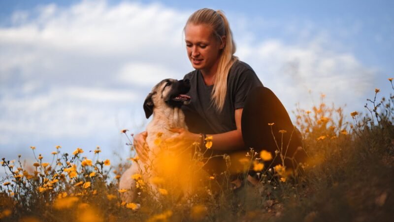 Cuidados Essenciais para Proteger seu Pet da Irritação Cutânea na Primavera