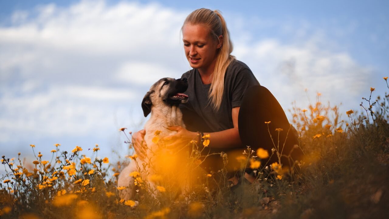 Cuidados Essenciais para Proteger seu Pet da Irritação Cutânea na Primavera