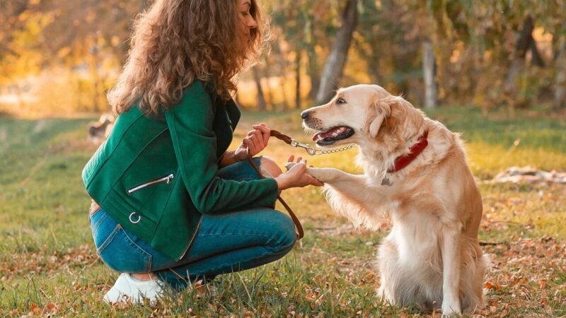 Como os Cães Interpretam Nossa Fala: A Ciência por trás da Comunicação Canina