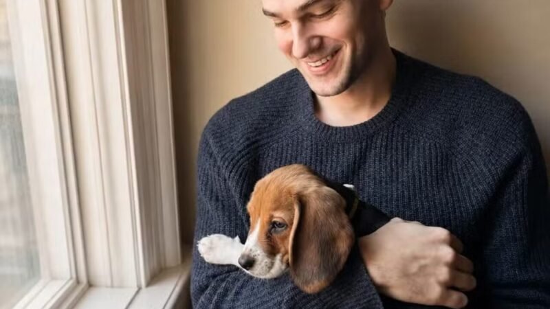 Cães Hipoalergênicos: Avanços da Edição Genética na Biotecnologia