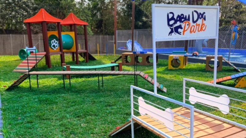 Inauguração do Primeiro Parque de Diversões para Cães na América Latina em São Paulo