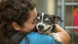 A Importância dos Animais de Estimação na Vida Humana