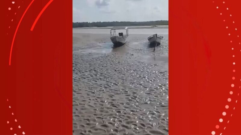 Seca e Assoreamento Isolam Comunidades no Bailique: Desafios e Apelos por Ajuda