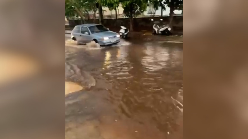 Tempestades Afetam o Interior do Tocantins: Quedas de Árvores e Previsão de Mais Chuvas