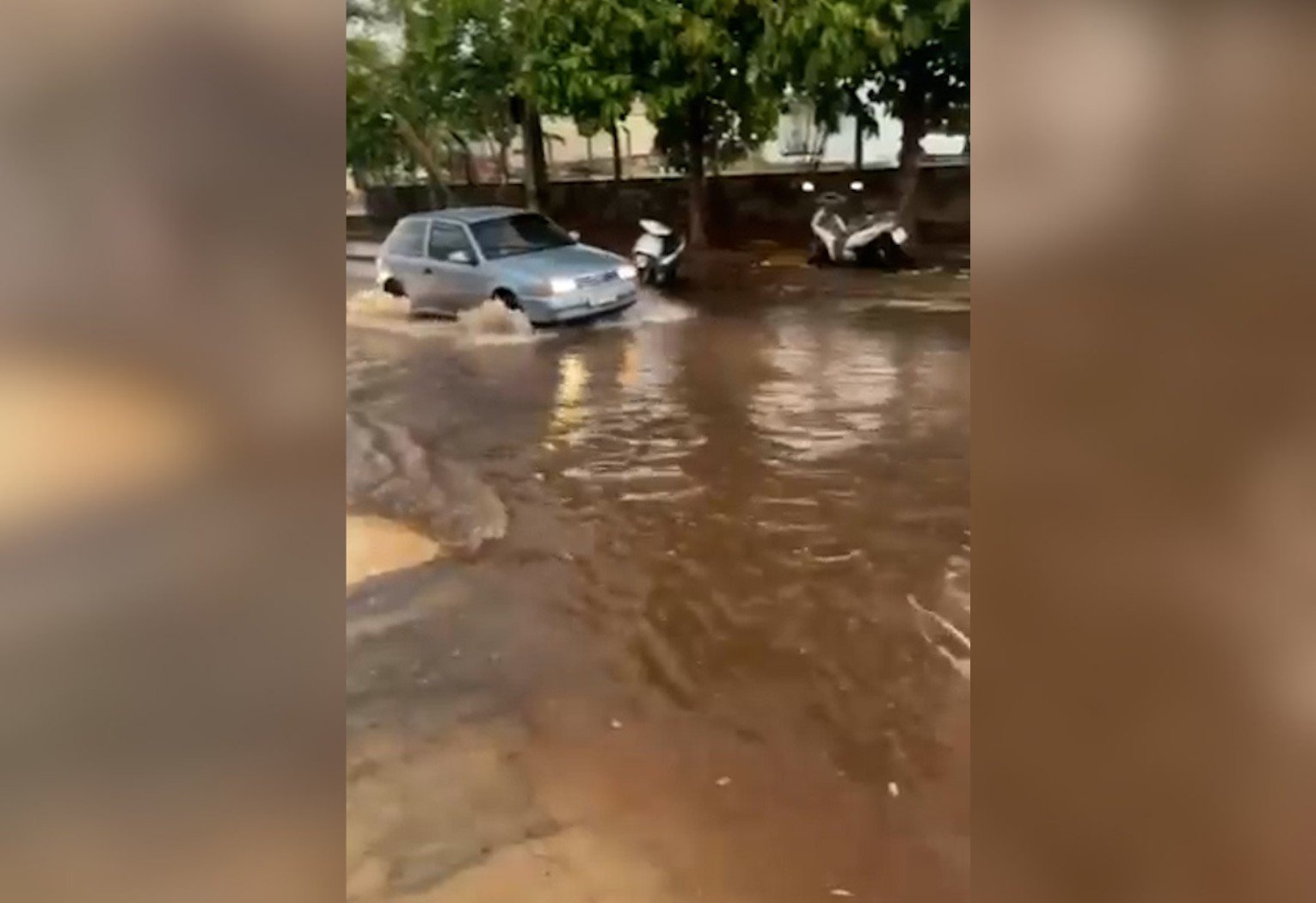 Tempestades Afetam o Interior do Tocantins: Quedas de Árvores e Previsão de Mais Chuvas