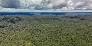 Brasil Recebe Autorização para Contratação de Crédito do BID para Eco Invest Brasil
