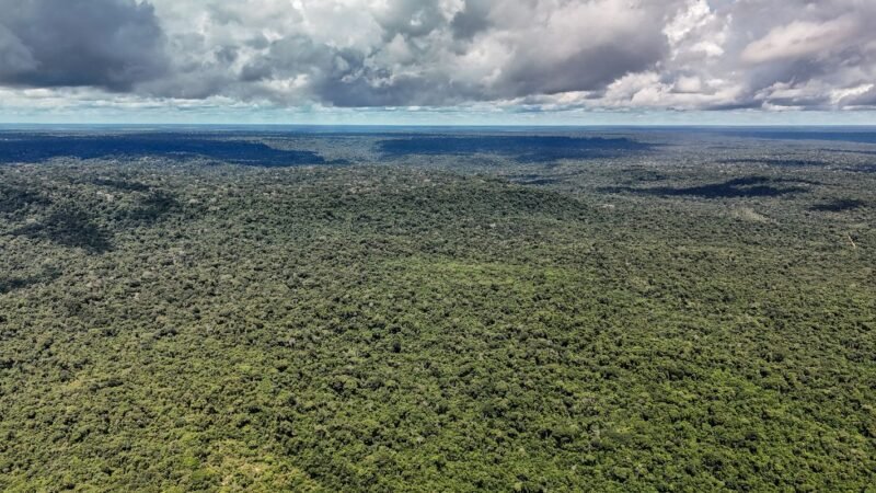 Brasil Recebe Autorização para Contratação de Crédito do BID para Eco Invest Brasil