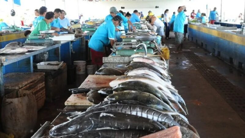 Reforma e Ampliação da Feira do Pescado em Santarém: Um Investimento de R$ 2,3 Milhões
