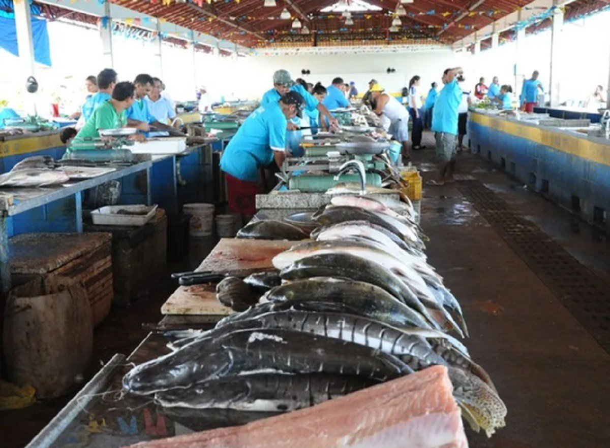 Reforma e Ampliação da Feira do Pescado em Santarém: Um Investimento de R$ 2,3 Milhões