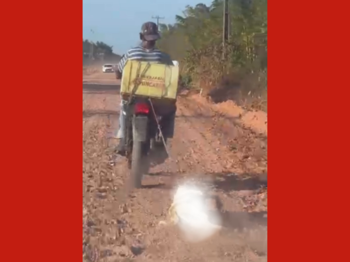 Polícia Investiga Caso de Maus-Tratos a Animal no Pará