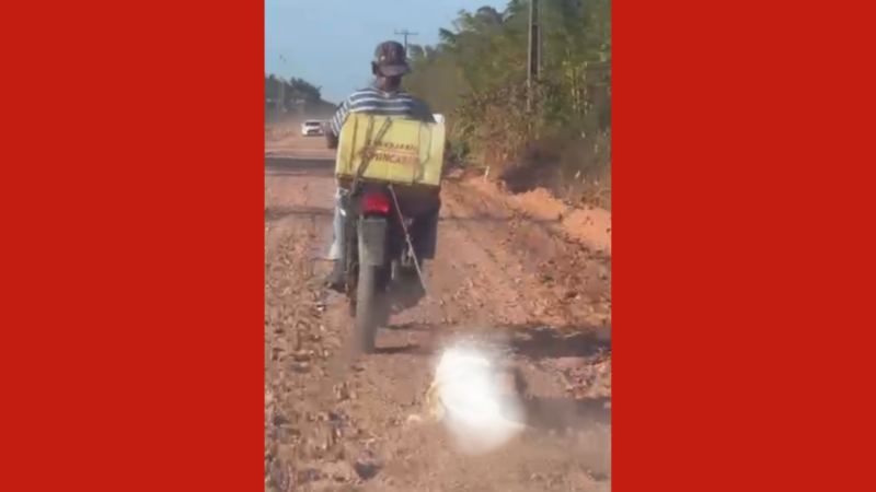 Polícia Investiga Caso de Maus-Tratos a Animal no Pará