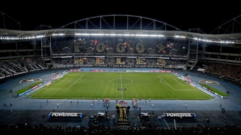 Botafogo e Palmeiras: Tudo sobre o Confronto Imperdível
