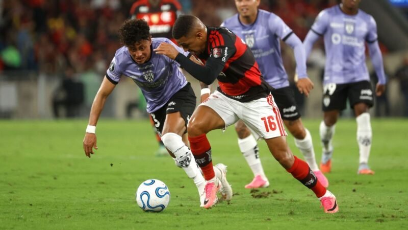Palmeiras Responde Críticas do Flamengo Sobre o Gramado do Maracanã