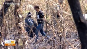 Descoberta de Ossada Humana em Área Queimada de Palmas Levanta Investigações
